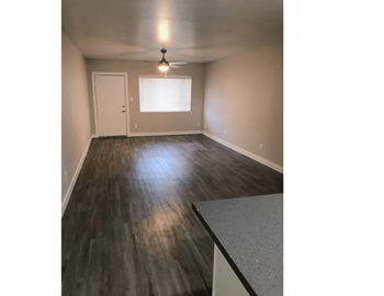 Wood-style plank floors*